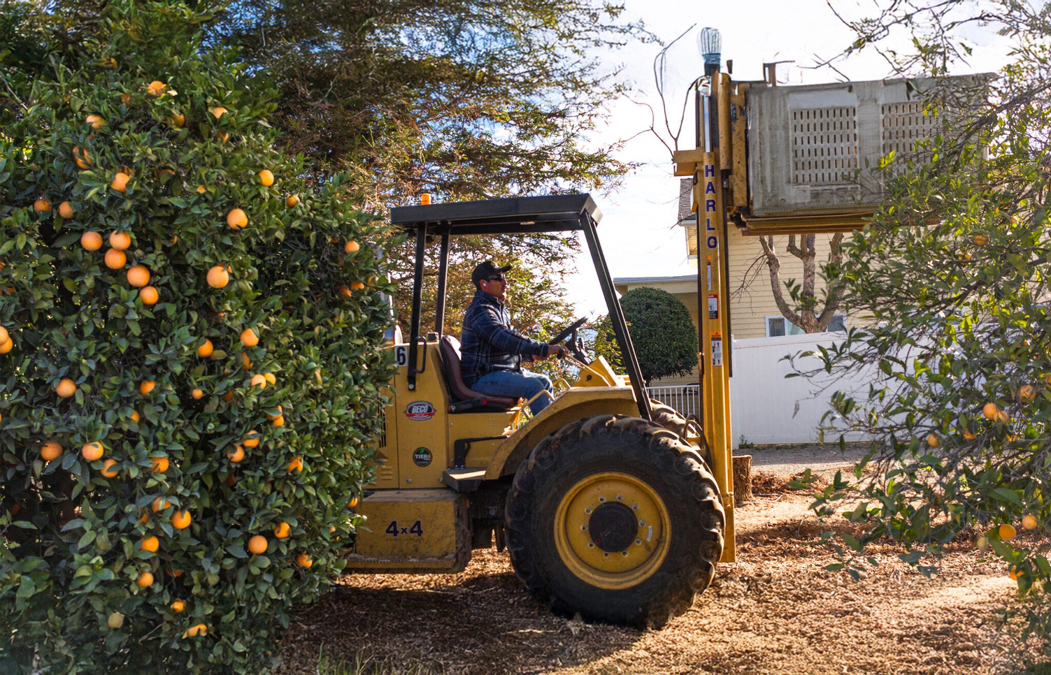 Harlo 4x4 rough terrain forklift with operator parked in an orange orchard