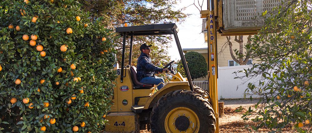 Harlo 4x4 rough terrain forklift with operator driving through an orange orchard